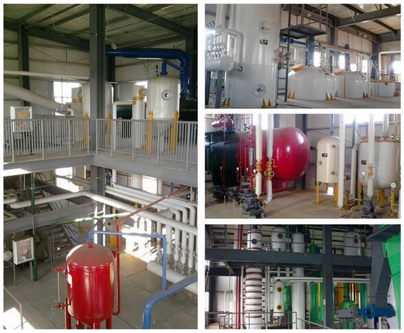 Small Edible Oil Extraction Machine