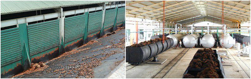 successful palm oil processing plant in Cote D'ivoire 