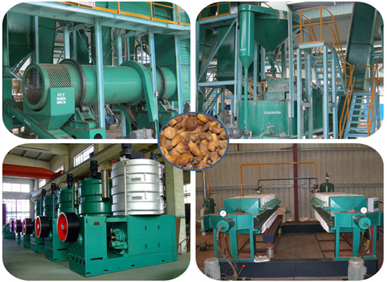 large scale palm kernel oil machine and processing plant