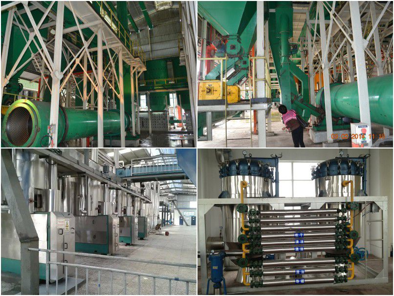 Large Palm Kernel Oil Processing Plant for Business