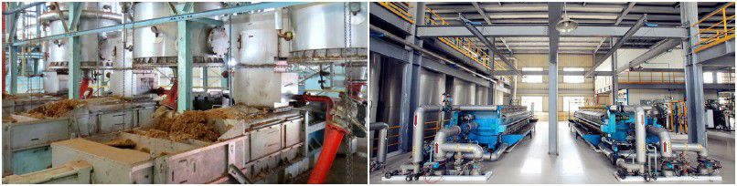 palm oil mill plants with customized porudction process