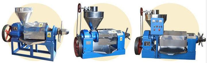 palm kernel oil press expeller machine with factory price for sales