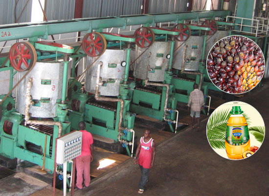 palm kernel oil mill plant