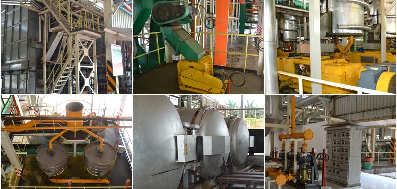 factory price palm oil extraction equipment