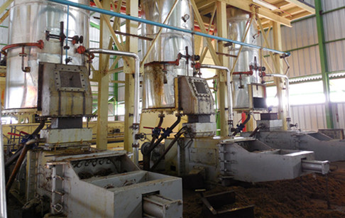 Grand fabricant de moulins à huile de palme au congo et au cameroun