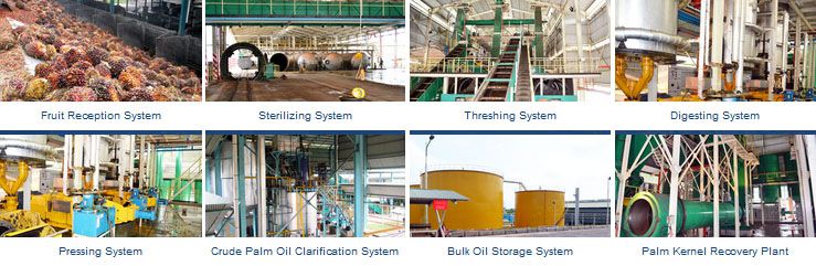 palm oil processing machinery manufacturer
