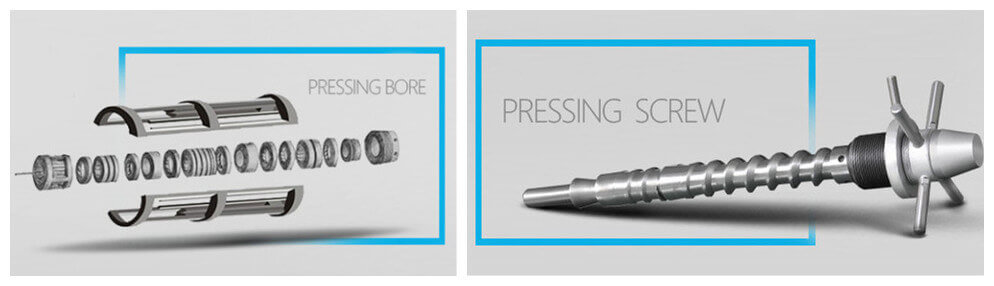 pressing screw and pressing bore of castor oil presser