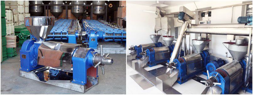 oil pressing machine for small scale palm kernel oil mill business