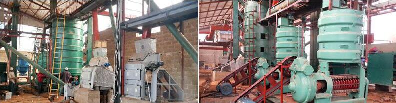 palm kernel processing plant turnkey projects