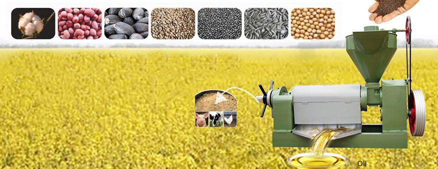 Maquinaria de aceite de girasol para la producción de aceite vegetal a pequeña escala