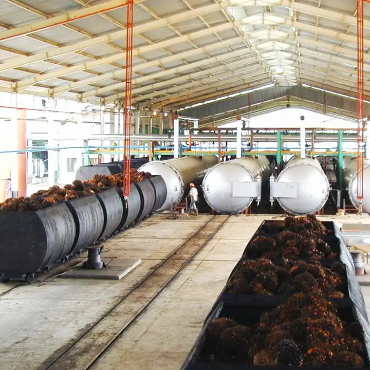 Extraction de l'huile FFB du moulin à huile de palme en CPO (huile de palme brute)